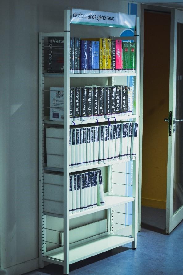 Dictionaries on shelves in a library